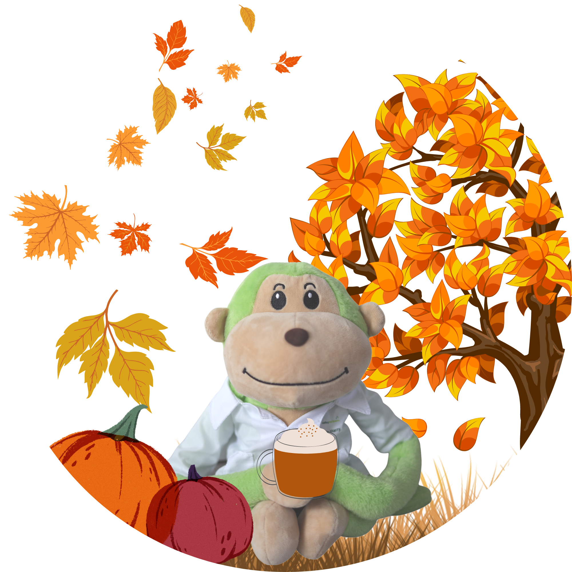 Hassle free Harry in an Autumn Setting